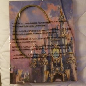 Magic Kingdom picture frame